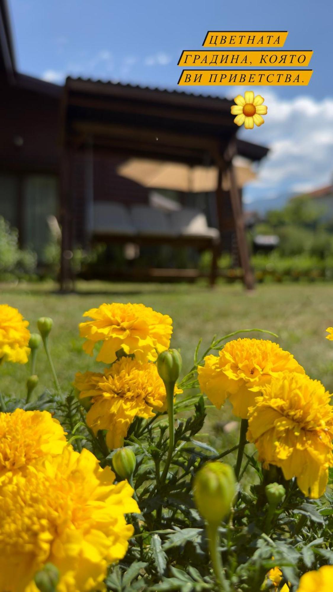 Guest House Recharge Говедарци Екстериор снимка